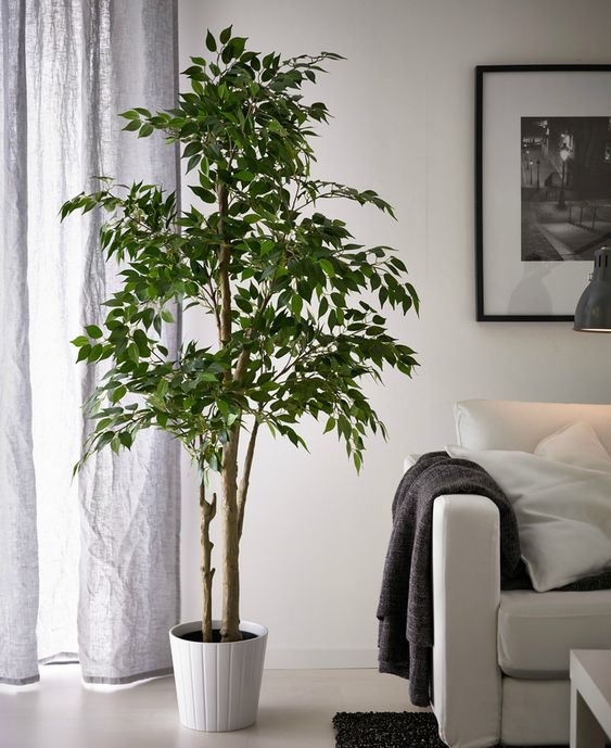 Фото № 18: 10 вещей, которые обязательно должны быть в вашей гостиной