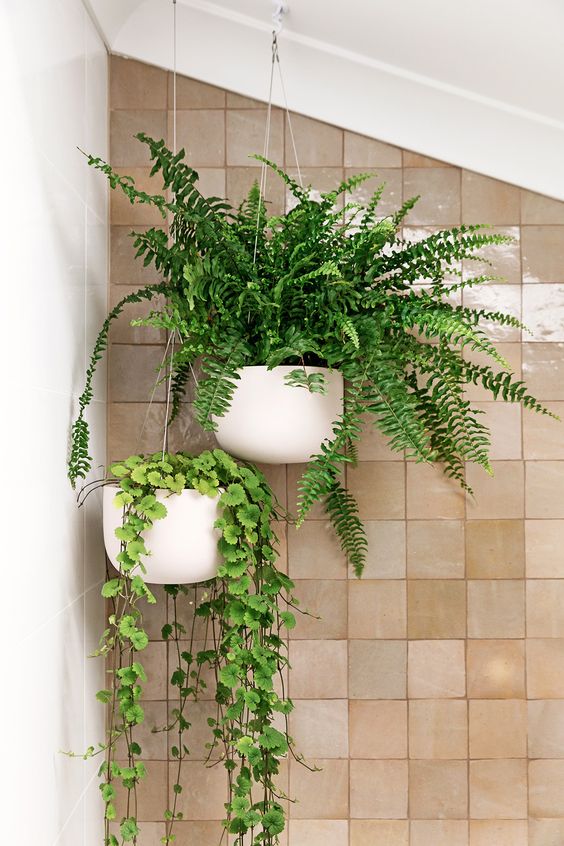 Фото № 11: Как разместить комнатные растения в интерьере, если для них нет места