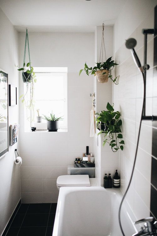 Фото № 12: Как разместить комнатные растения в интерьере, если для них нет места