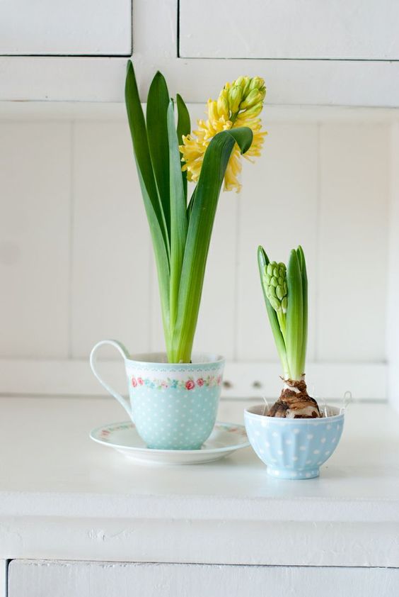 Фото № 15: Цветочные горшки в интерьере: 15 стильных идей от ReRooms