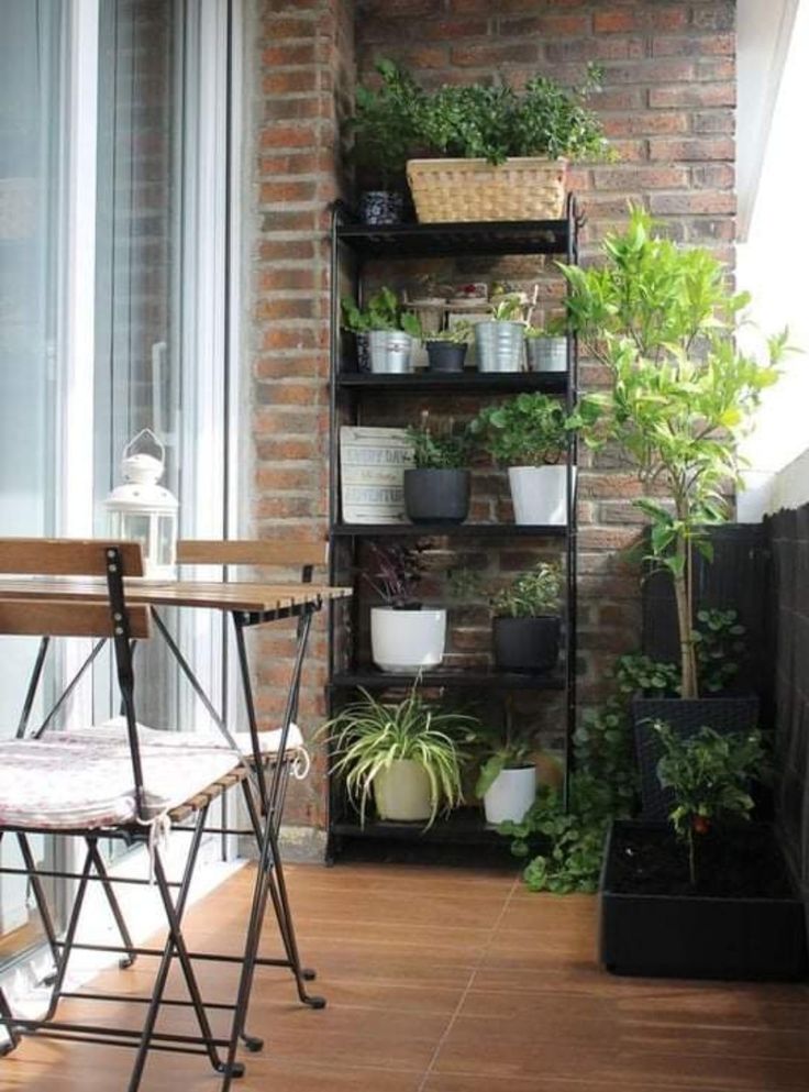 Фото № 13: Сад на балконе: советы по созданию