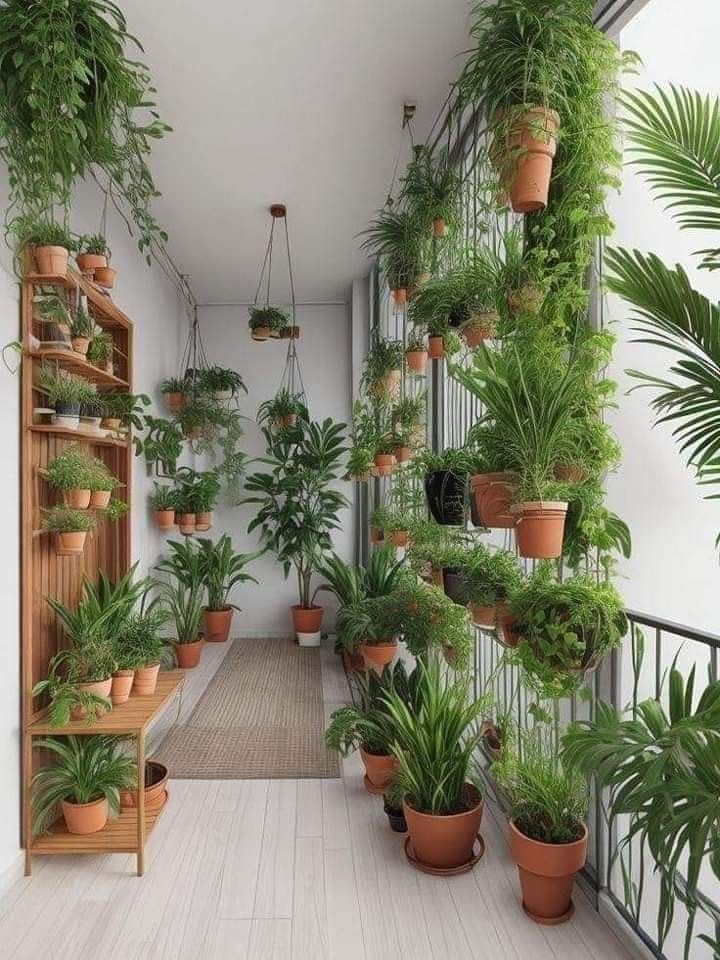 Фото № 12: Сад на балконе: советы по созданию