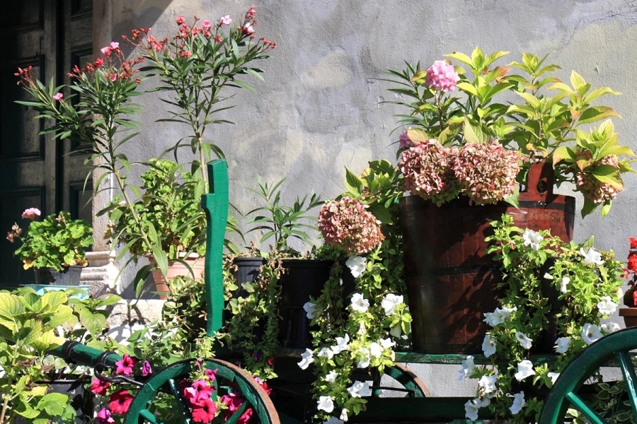 Фото № 7: Комод-огород и зеркало-пруд: как создать арт-объект на даче