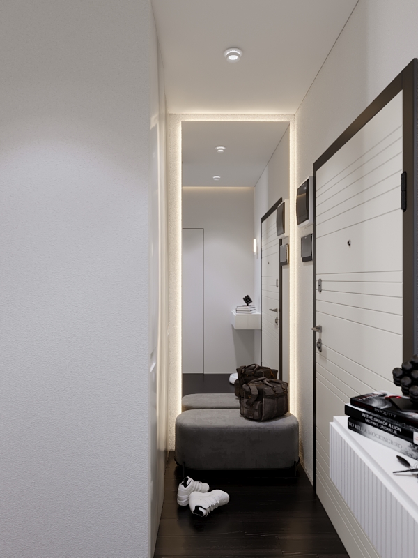 Фото № 1: Дизайн однокомнатной квартиры с акцентной стеной 