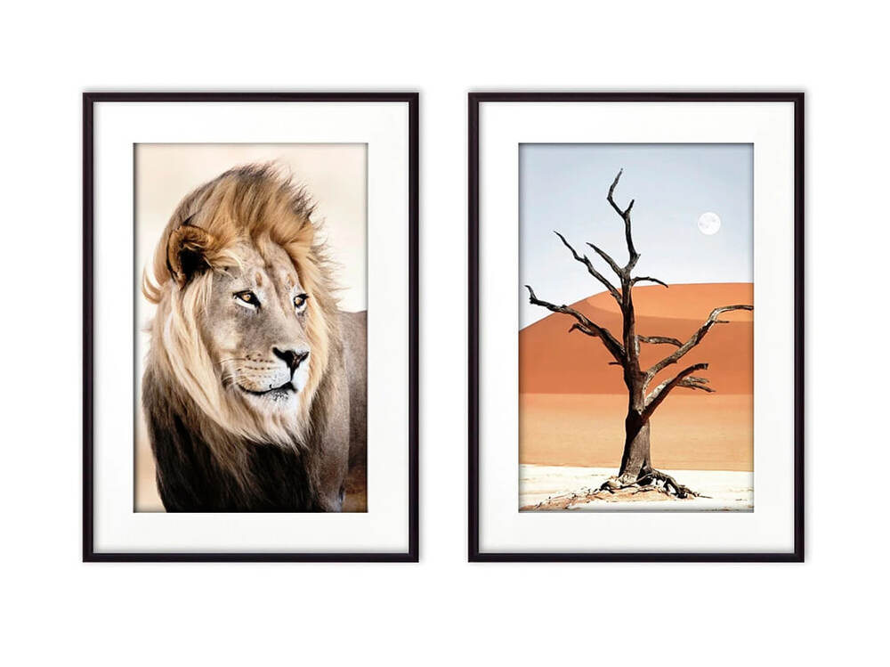 Фото № 1: Африканские мотивы в интерьере: 11 нереальных фотоидей