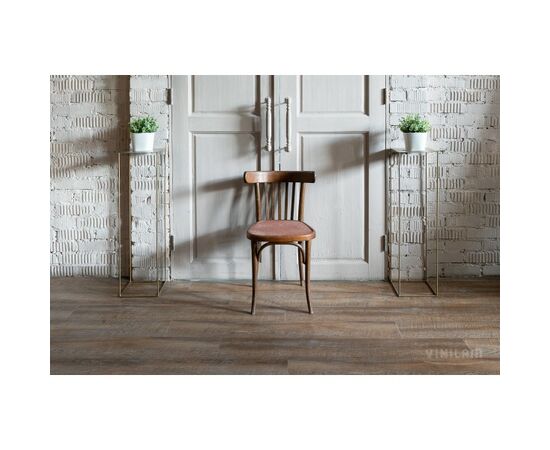 Дуб Майнц 81137