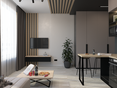 Фото № 2: Дизайн-проект квартиры-студии 27.59  м² Стиль Лофт для ЖК Огни-2