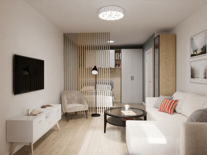 Фото № 1: Дизайн-проект зала 18.58  м² Скандинавский стиль для ЖК Шереметьевский