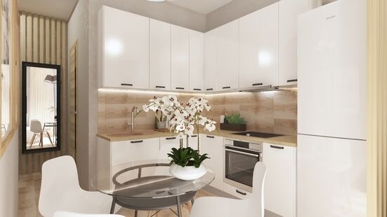 Фото № 2: Дизайн-проект однокомнатной квартиры 33.87  м² Стиль Модернизм для ЖК Водный