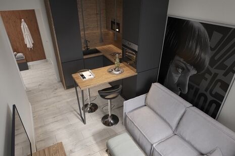 Фото № 2: Дизайн-проект трехкомнатной квартиры 49.76  м² Стиль Лофт для ЖК Спутник