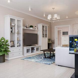 Фото № 4: Дизайн-проект зала 16.0  м² стиль Современная классика для ЖК Юго-Западный