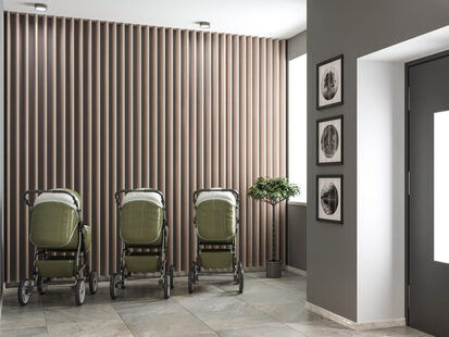 Фото № 4: Дизайн-проект экстерьера 150.0  м² Современный стиль для ЖК DVINA HOUSE