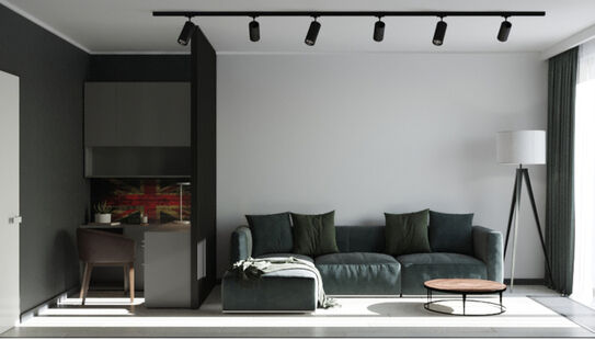 Фото № 4: Дизайн-проект двухкомнатной квартиры 64.8  м² Стиль Лофт для ЖК Селигер Сити