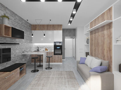 Фото № 1: Дизайн-проект квартиры-студии 25.94  м² стиль Модернизм для ЖК Полис на Неве