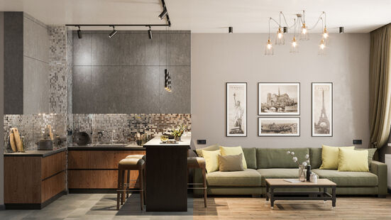 Фото № 1: Дизайн-проект однокомнатной квартиры 48.25  м² Стиль Лофт для ЖК Маяк