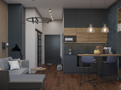 Фото № 1: Дизайн-проект квартиры-студии 28.5  м² Стиль Лофт для ЖК Сколковский