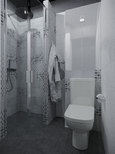 Фото № 2: Дизайн-проект квартиры-студии 26.59  м² Стиль Лофт для ЖК Триколор