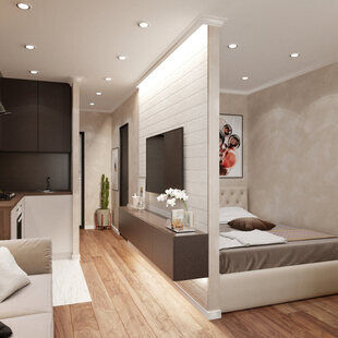 Фото № 1: Дизайн-проект квартиры-студии 25.4  м² стиль Контемпорари для ЖК Мозаика