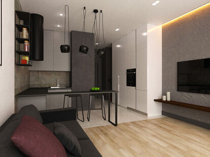 Фото № 1: Дизайн-проект квартиры-студии 30.53  м² Стиль Лофт для ЖК Московский