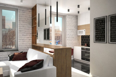 Фото № 3: Дизайн-проект квартиры-студии 36.2  м² Стиль Модернизм для ЖК Московский