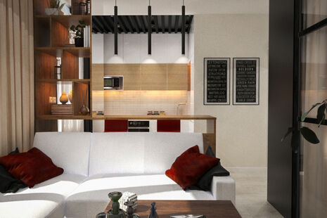 Фото № 2: Дизайн-проект квартиры-студии 36.2  м² Стиль Модернизм для ЖК Московский