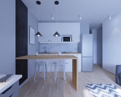 Фото № 4: Дизайн-проект однокомнатной квартиры 23.77  м² Скандинавский стиль для ЖК Московский