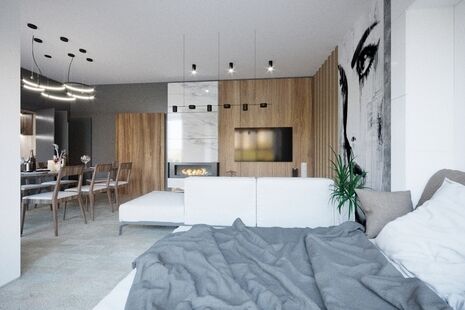 Фото № 3: Дизайн-проект квартиры-студии 42.96  м² Стиль Модернизм для ЖК Московский