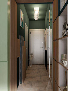 Фото № 5: Дизайн-проект квартиры-студии 28.47  м² Стиль Этнический для ЖК Центральный