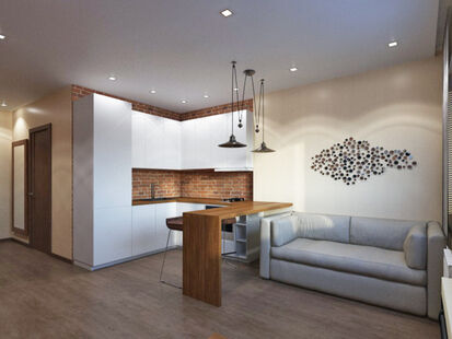 Фото № 2: Дизайн-проект квартиры-студии 28.02  м² Стиль Лофт для ЖК Московский