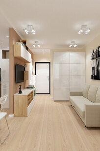 Фото № 1: Дизайн-проект зала 16.2  м² стиль Модернизм для ЖК Фрегат 2