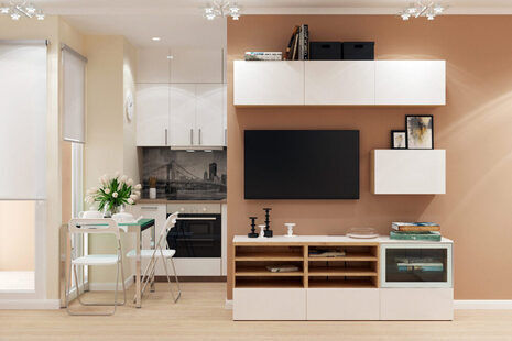 Фото № 2: Дизайн-проект зала 16.2  м² стиль Модернизм для ЖК Фрегат 2