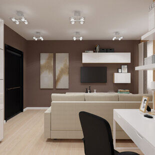 Фото № 5: Дизайн-проект зала 19.5  м² стиль Модернизм для ЖК Фрегат 2