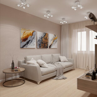 Фото № 1: Дизайн-проект зала 14.3  м² стиль Модернизм для ЖК Фрегат 2