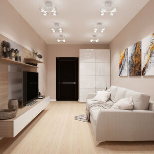 Фото № 3: Дизайн-проект зала 14.3  м² стиль Модернизм для ЖК Фрегат 2