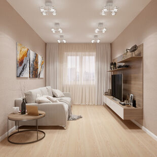 Фото № 4: Дизайн-проект зала 14.3  м² стиль Модернизм для ЖК Фрегат 2