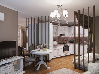 Фото № 1: Дизайн-проект студии 22.0  м² стиль Классика для ЖК PLAZA