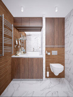 Фото № 1: Дизайн-проект совмещенного санузла 4.2  м² стиль Модернизм для ЖК Летняя резиденция