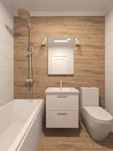 Фото № 1: Дизайн-проект совмещенного санузла 3.9  м² Скандинавский стиль для ЖК Шевченко