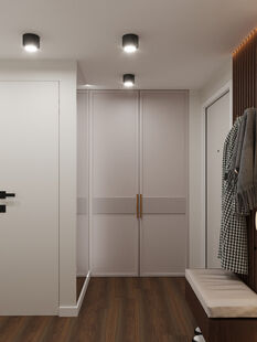 Фото № 4: Дизайн-проект прихожей 6.46  м² Стиль Контемпорари для ЖК Московский