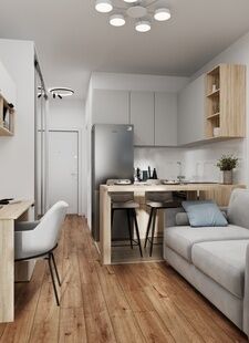 Фото № 3: Дизайн-проект квартиры-студии 20.36  м² Скандинавский стиль для ЖК Белые ночи