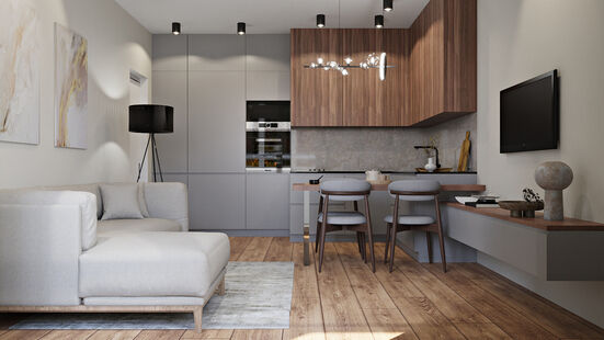 Фото № 1: Дизайн-проект двухкомнатной квартиры 46.91  м² Стиль Модернизм для ЖК Альпы