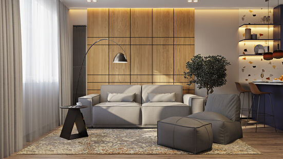 Фото № 2: Дизайн-проект двухкомнатной квартиры 53.45  м² Современный стиль для ЖК Парус