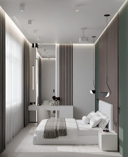 Фото № 3: Дизайн-проект дома/коттеджа 252.9  м² Современный стиль для частного дома в д. петрово-григорово