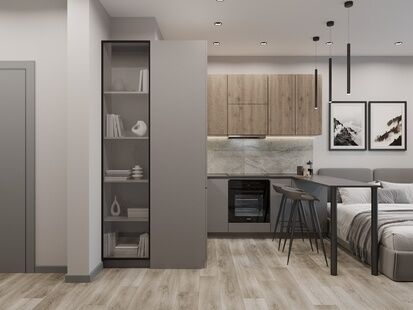 Фото № 2: Дизайн-проект квартиры-студии 23.72  м² Современный стиль для ЖК в Квартале Введенского